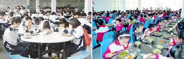 號稱“中小學營養餐”卻每年浪費驚人 問題出在哪？